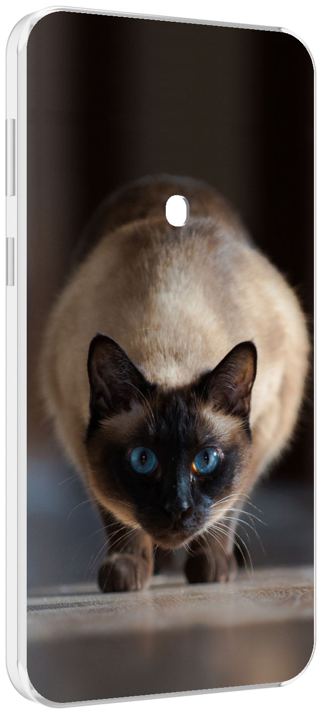 Чехол MyPads кошка сиамская для Meizu 16 Plus / 16th Plus задняя-панель-накладка-бампер