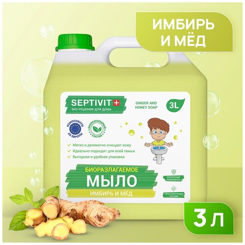 Купить Жидкое мыло для рук SEPTIVIT Premium / Мыло туалетное жидкое Септивит / Гипоаллергенное, детское мыло / Имбирь и мед, 3 литра (3000 мл