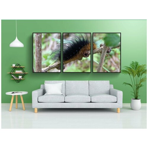 фото Набор модулных постеров для интерьера "гусеница, животное, насекомое" 60x90 см. в тубусе, без рамки lotsprints