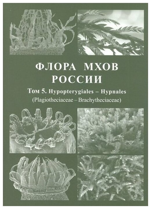 Флора мхов России. Том 5 (Игнатов М. (отв. ред.)) - фото №1