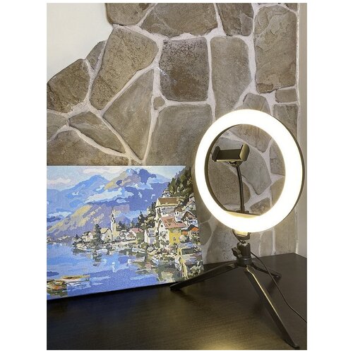 Кольцевая лампа Nano City со штативом LED 26 см с держателем для телефона и селфи-пультом 199000₽