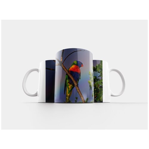 фото Кружка "радужный лорикет, попугай, красочный" 320 мл lotsprints
