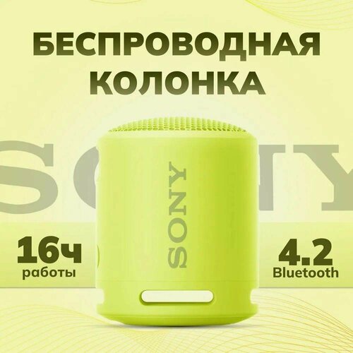 Портативная акустика Sony SRS-XB13 цвет Зеленый 250000₽