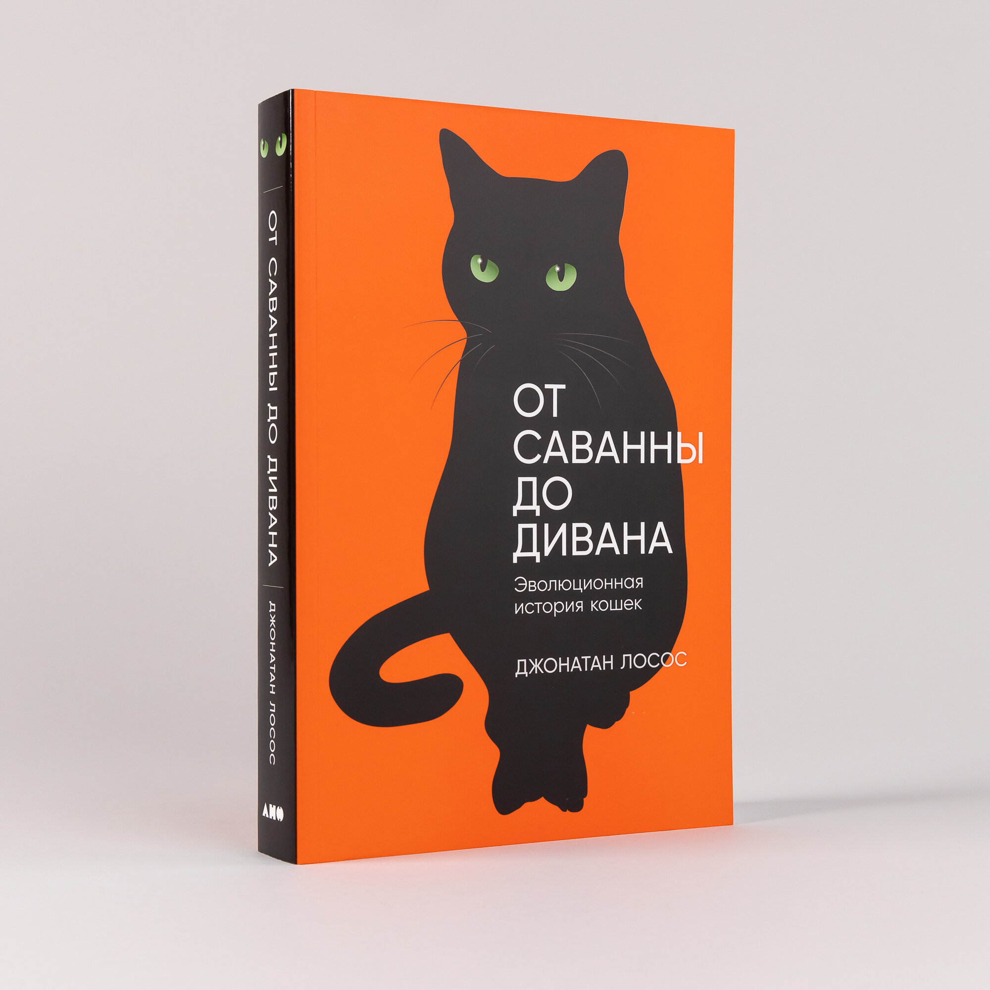 От саванны до дивана: Эволюционная история кошек