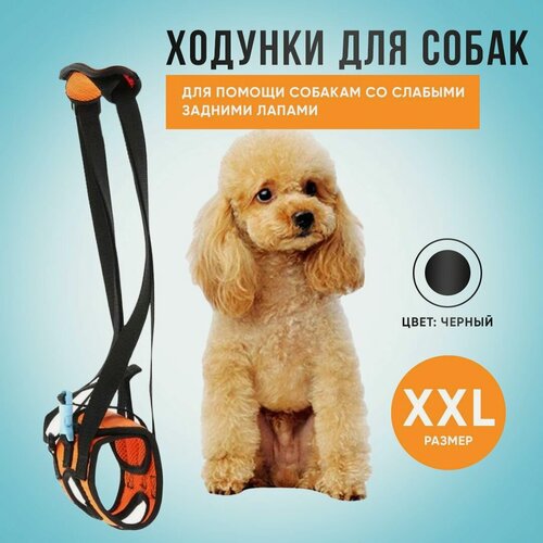 Изображение товара Ходунки для пожилых и травмированных собак. Размер XXL.