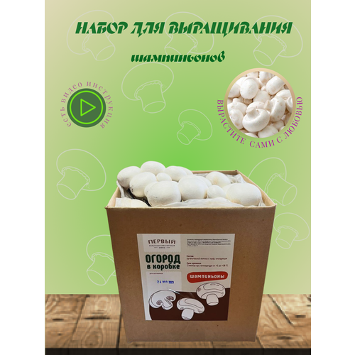 Набор для выращивания шампиньонов