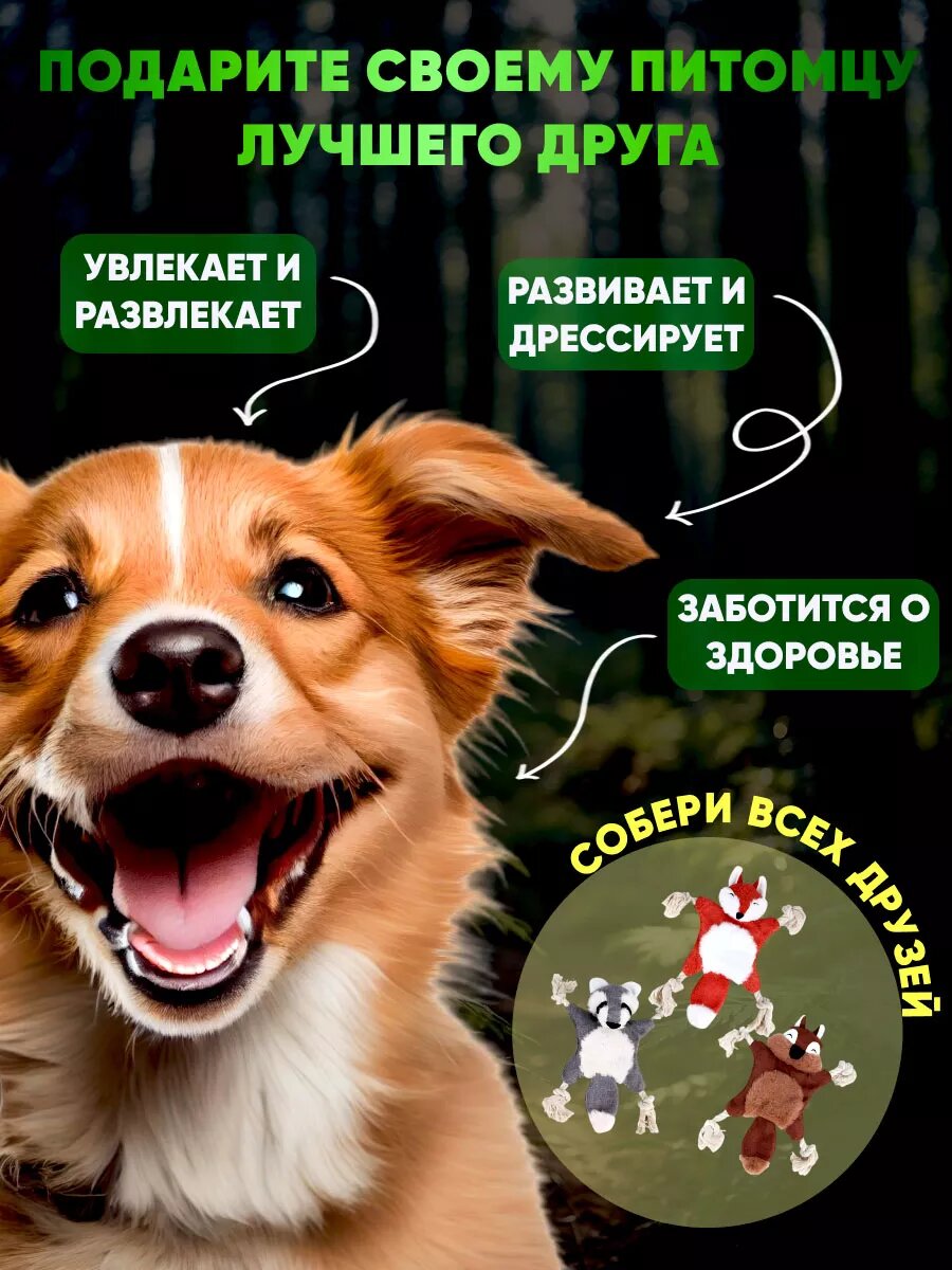 Игрушка дразнилка для собак "бурундук", 28 см для собак мелких и средних пород — фото 1