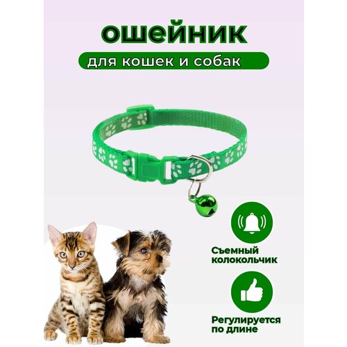 Ошейник для кошек и мелких пород собак , с колокольчиком , зеленый
