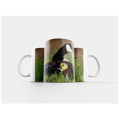 фото Кружка "птица, летать, животное" 320 мл lotsprints