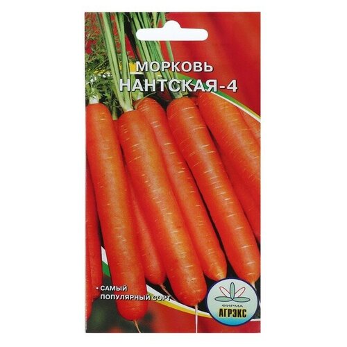 Семена Морковь Нантская 4, 2 г 4 шт семена морковь столовая самсон f1 высокоурожайная среднепоздняя 2 гр