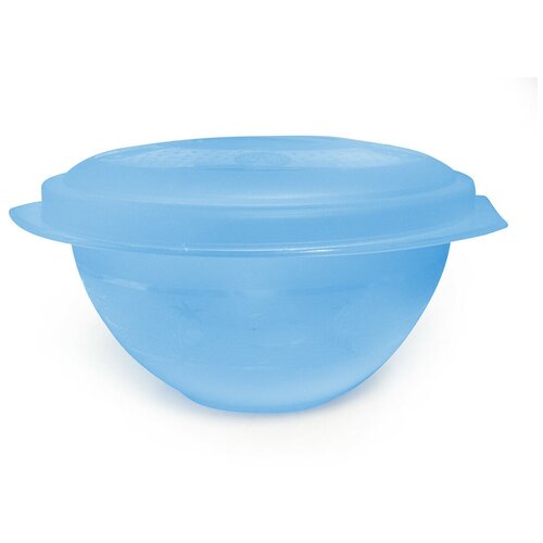 Чаша 45л с крышкой Бр 4 42 Бриг 1424₽