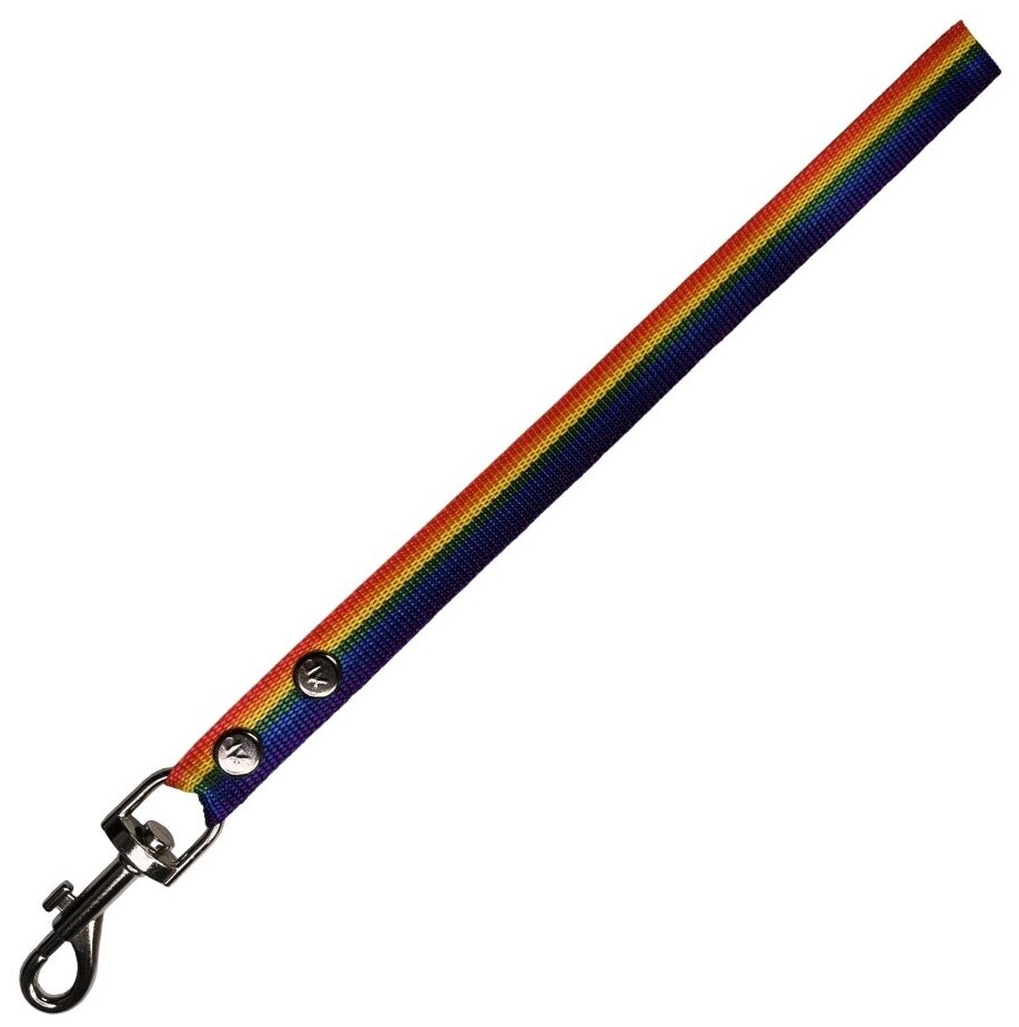 Поводок-водилка с большой ручкой для средних собак нейлоновый 40 см х 20 мм разноцветный (до 35 кг)