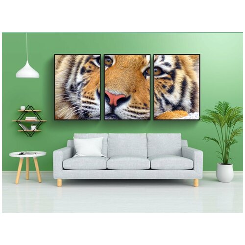 фото Набор модулных постеров для интерьера "тигр, животное, зоопарк" 60x90 см. в тубусе, без рамки lotsprints