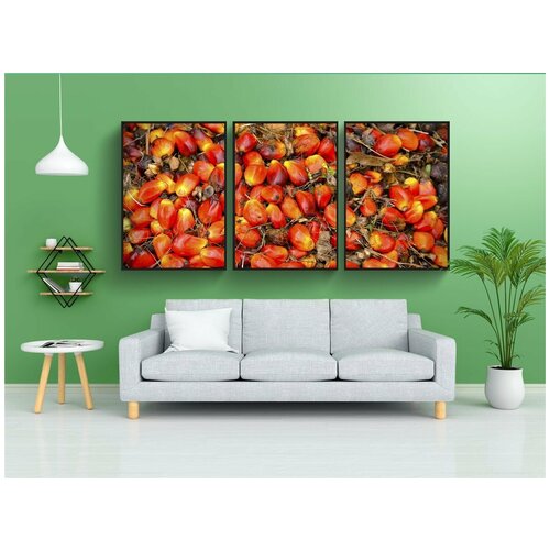 фото Набор модулных постеров для интерьера "ладонь, масло, фрукты" 60x90 см. в тубусе, без рамки lotsprints