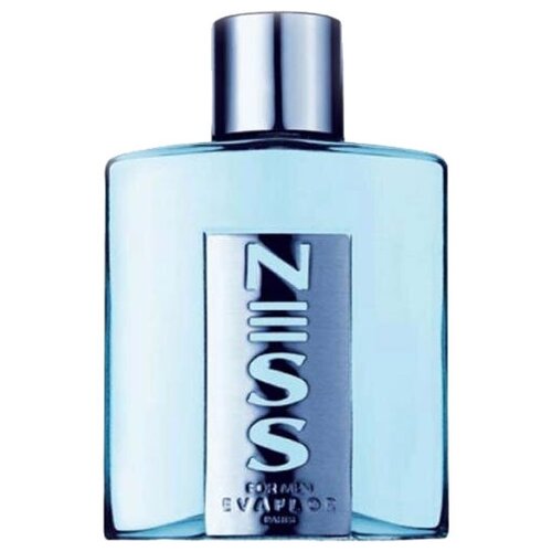 Parfums Evaflor Мужской Ness For Men Туалетная вода (edt) 50мл