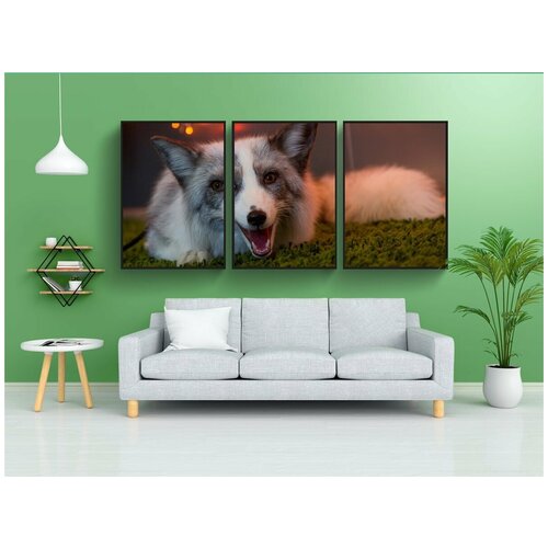 фото Набор модулных постеров для интерьера "лиса, звери, животные" 60x90 см. в тубусе, без рамки lotsprints