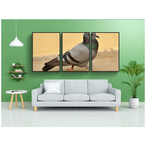 фото Набор модулных постеров для интерьера "голубь, птицы, макрос" 60x90 см. в тубусе, без рамки lotsprints