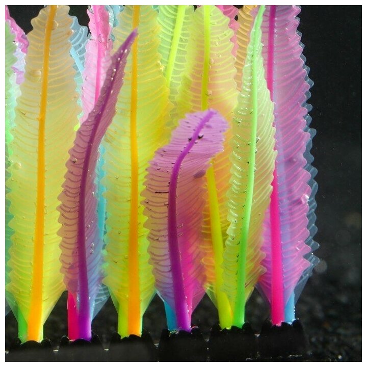 Растение аквариумное КНР силиконовое, светится в темноте, 14х10 см, разноцветное - фотография № 3