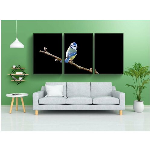 фото Набор модулных постеров для интерьера "птица, лазоревка, синица" 60x90 см. в тубусе, без рамки lotsprints