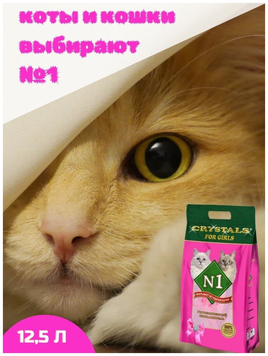 N1 CRYSTALS / Кошачий наполнитель N1 силикагелевый для кошек в лоток 12,5 л - фотография № 3