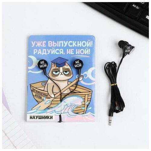 Наушники на открытке Радуйся не ной модель VBT 18 11 х 208 см 26900₽
