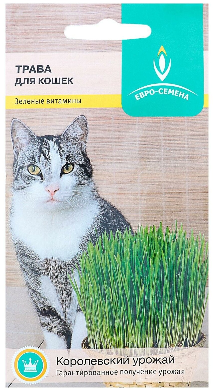Семена Трава для кошек, 10 г - фотография № 6