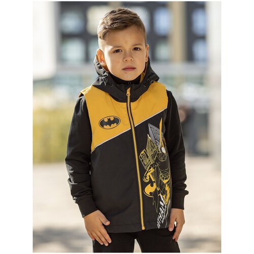 фото Жилет коди (459-22в) batik