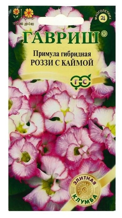 Гавриш Семена цветов Примула "Роззи с каймой", махровая, серия Элитная клумба, 3 шт