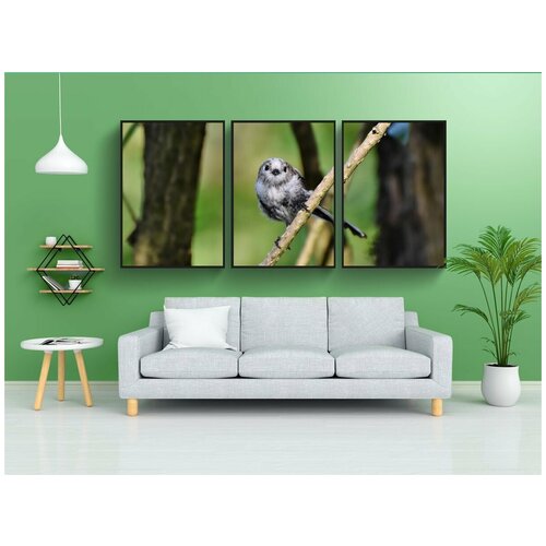 фото Набор модулных постеров для интерьера "длиннохвостая синица, синица, певчая птица" 60x90 см. в тубусе, без рамки lotsprints