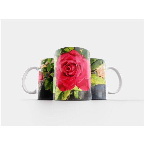 фото Кружка "цветок, природа, роза" 320 мл lotsprints