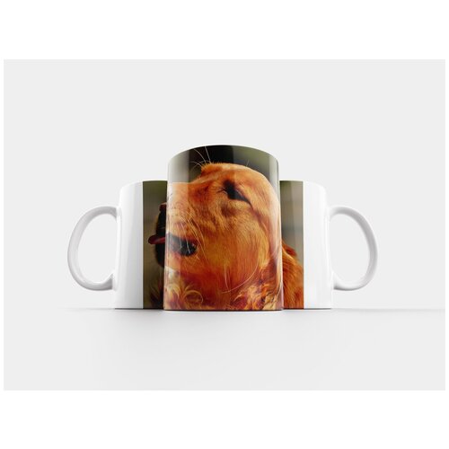 фото Кружка "ирландский сеттер, собака, шерсть" 320 мл lotsprints