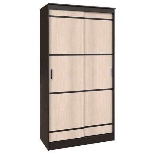 Шкаф-купе BTS Сакура 1.14 м Двухдверный 114х61х221.6 см