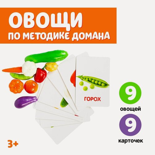 Изображение товара Обучающий набор "Овощи", по методике Г. Домана. 9 карточек, 9 овощей, для детей и малышей
