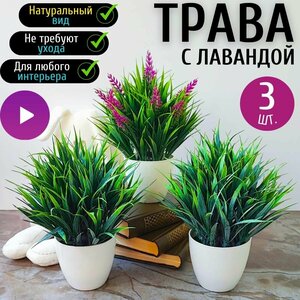 Основная фотография от вендора