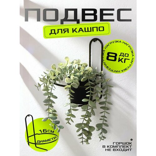 фото Подвес для кашпо «одиночка», d=16 см, настенный, золотистый сима-ленд