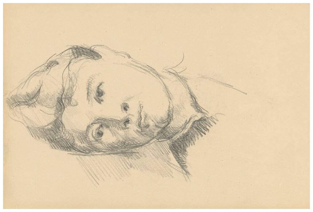 Репродукция на холсте Мадам Сезанн (1889) Сезан Поль 74см. x 50см.