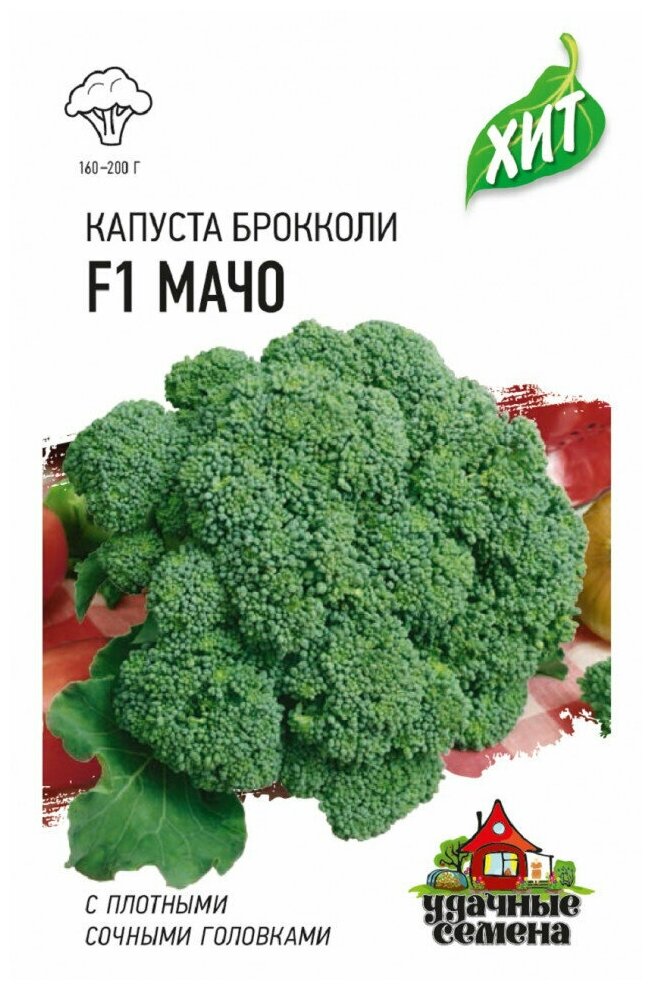 Капуста брокколи Мачо F1