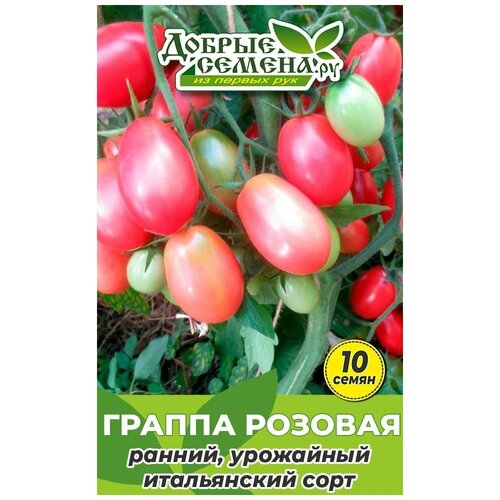 Семена томата Граппа Розовая - 10 шт - Добрые Семена. ру