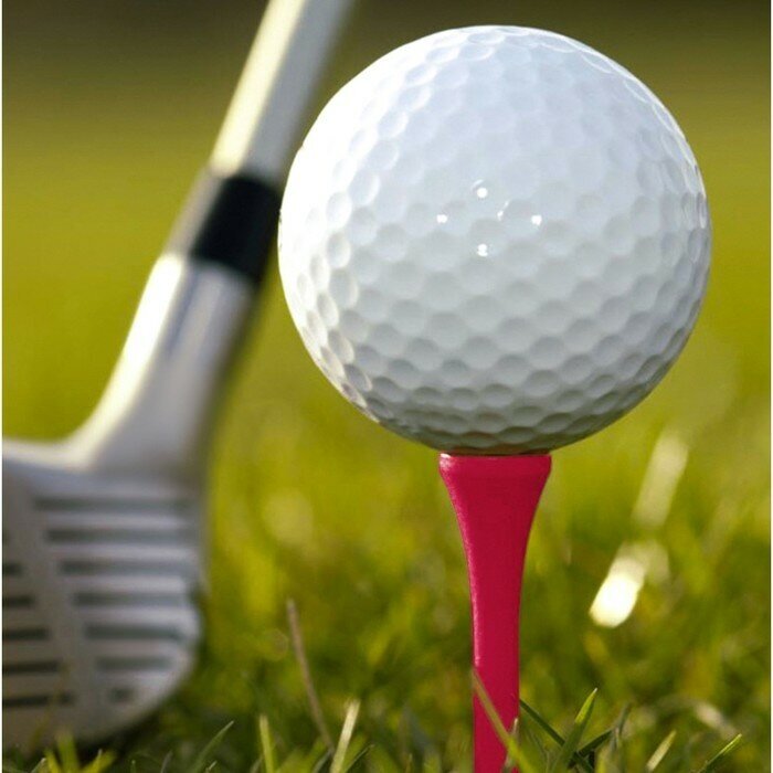 Набор подставок для гольф мяча, h=7 см, 10 шт - фотография № 2