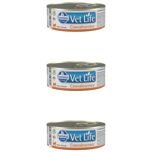 farmina vet life feline obesity диета для кошек сухой 400 г Корм консервированный для кошек Farmina, конвалесценсе паштет, 85 гр , 3 шт