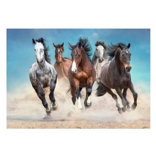 Картина на холсте 57x40 см 