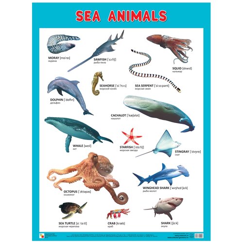 Плакат Мозаика-Синтез SEA ANIMALS (Морские обитатели) плакат мозаика синтез animals of africa животные африки