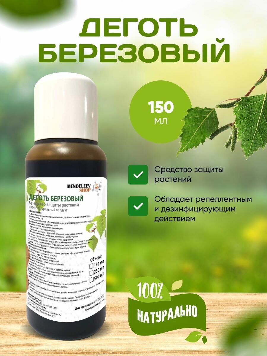 фото Деготь березовый