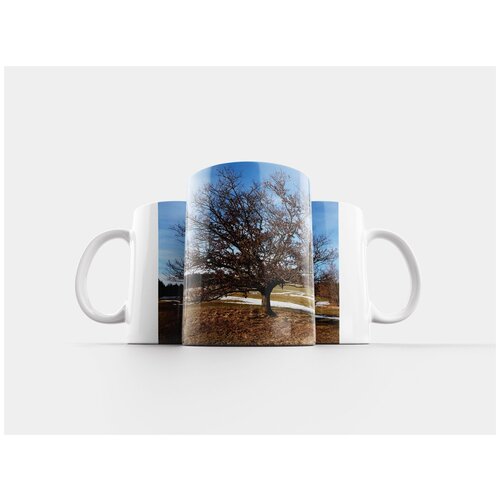 фото Кружка "дерево, корявый, дуб" 320 мл lotsprints