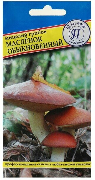 Мицелий грибов Маслёнок обыкновенный, 50 мл (1шт.)