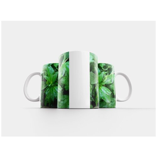 фото Кружка "листы, природа, экология" 320 мл lotsprints