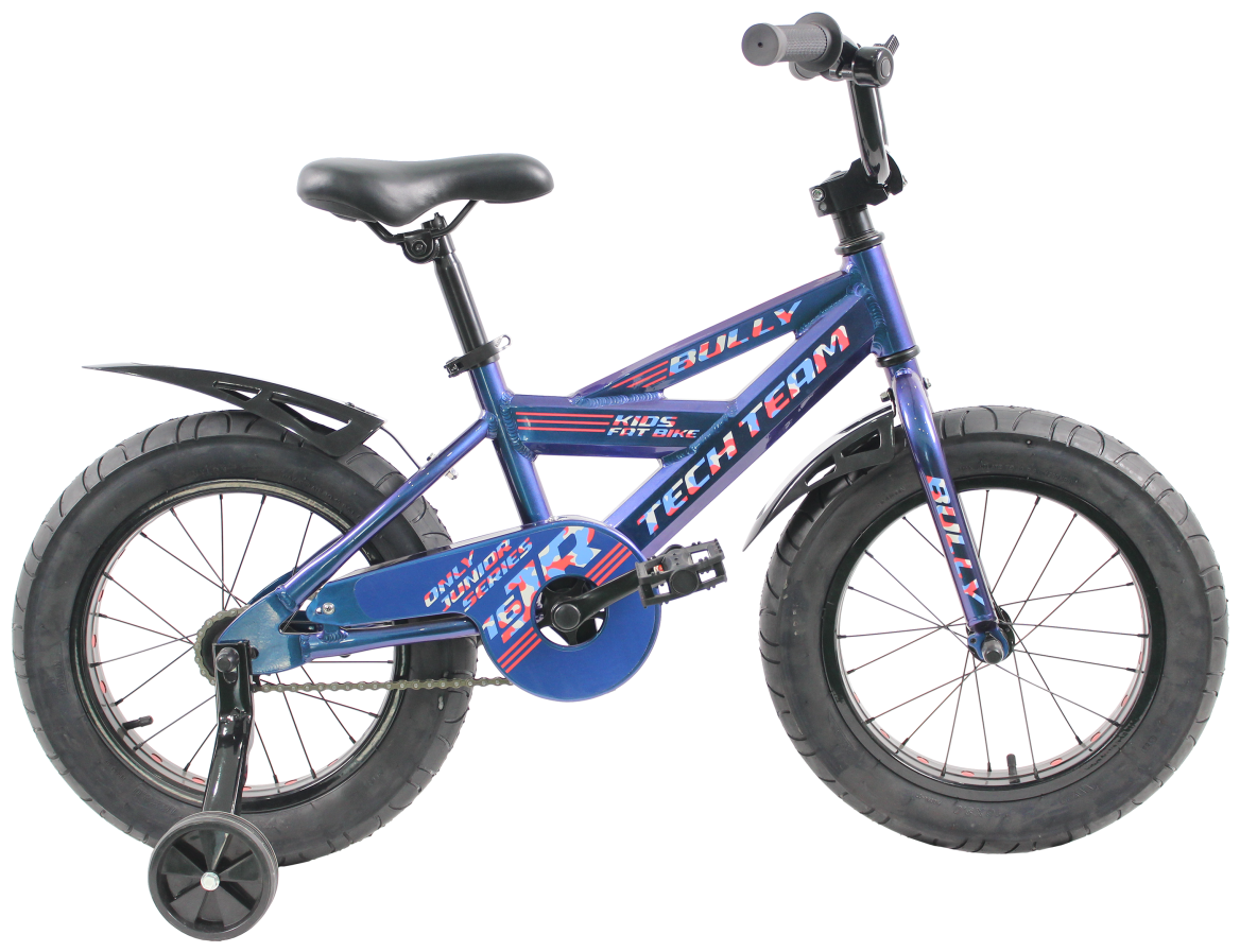 Детский велосипед TechTeam Bully 16 (2022), синий
