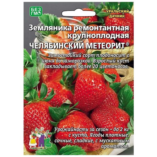 Семена Земляники ремонтантной крупноплодной Челябинский метеорит (10 семян)