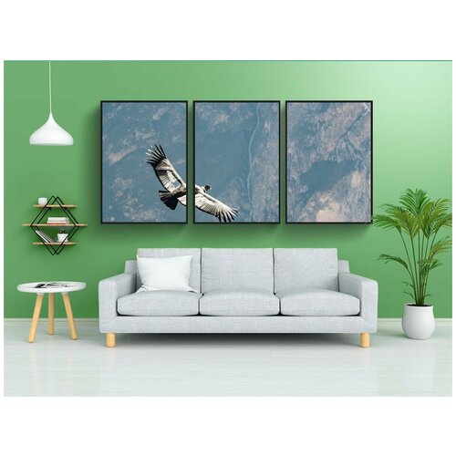 фото Набор модулных постеров для интерьера "кондор, перу, андский кондор" 60x90 см. в тубусе, без рамки lotsprints