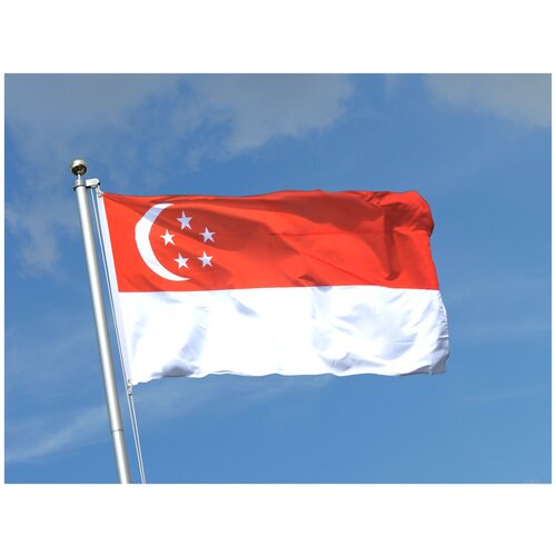 Флаг Сингапура 90х135 см бесплатная доставка флаг aerxemrbrae 90x150 см флаг сингапура баннер флаги высококачественная полиэстеровая ткань